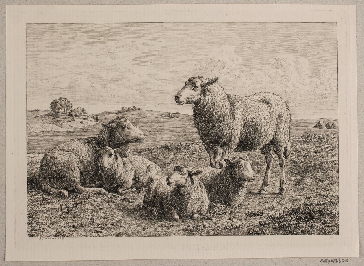 Sheep and Lambs in the Field by Andreas Peter Madsen