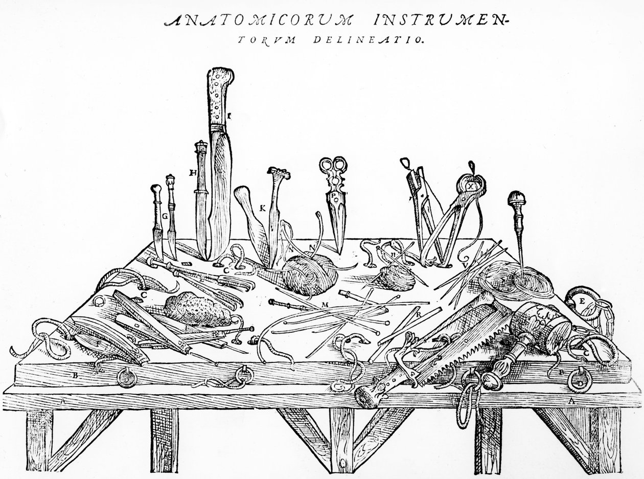 Instruments for Dissections, Illustration from 