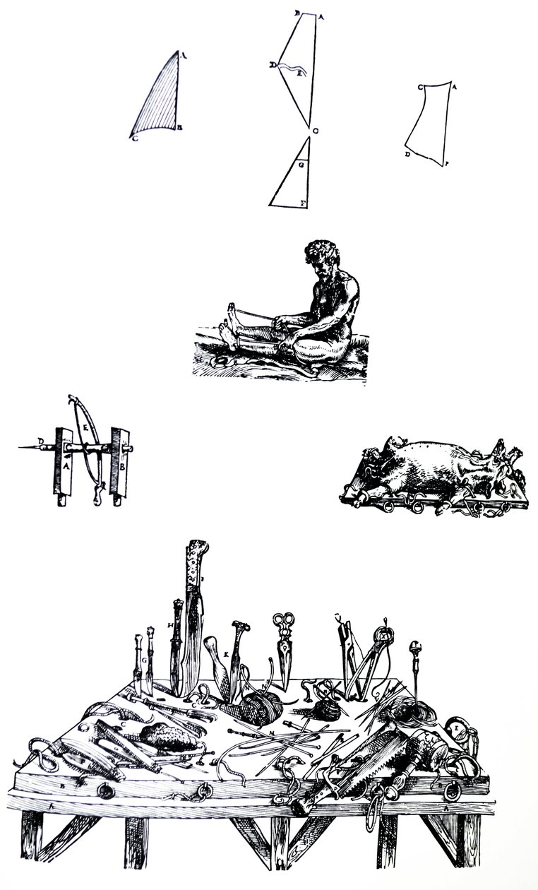 The Plates from the Second Book of the De Humani Corporis Fabrica by Andreas Vesalius