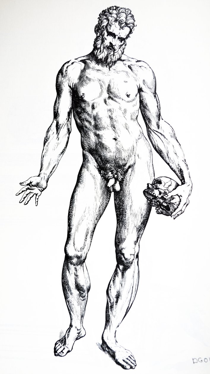 The Plates from the Seventh Book of the De Humani Corporis Fabrica by Andreas Vesalius