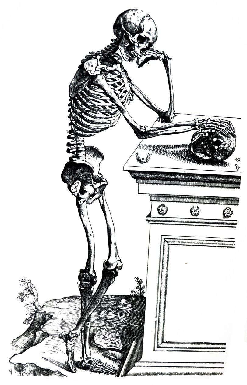 The Plates from the Seventh Book of the De Humani Corporis Fabrica by Andreas Vesalius