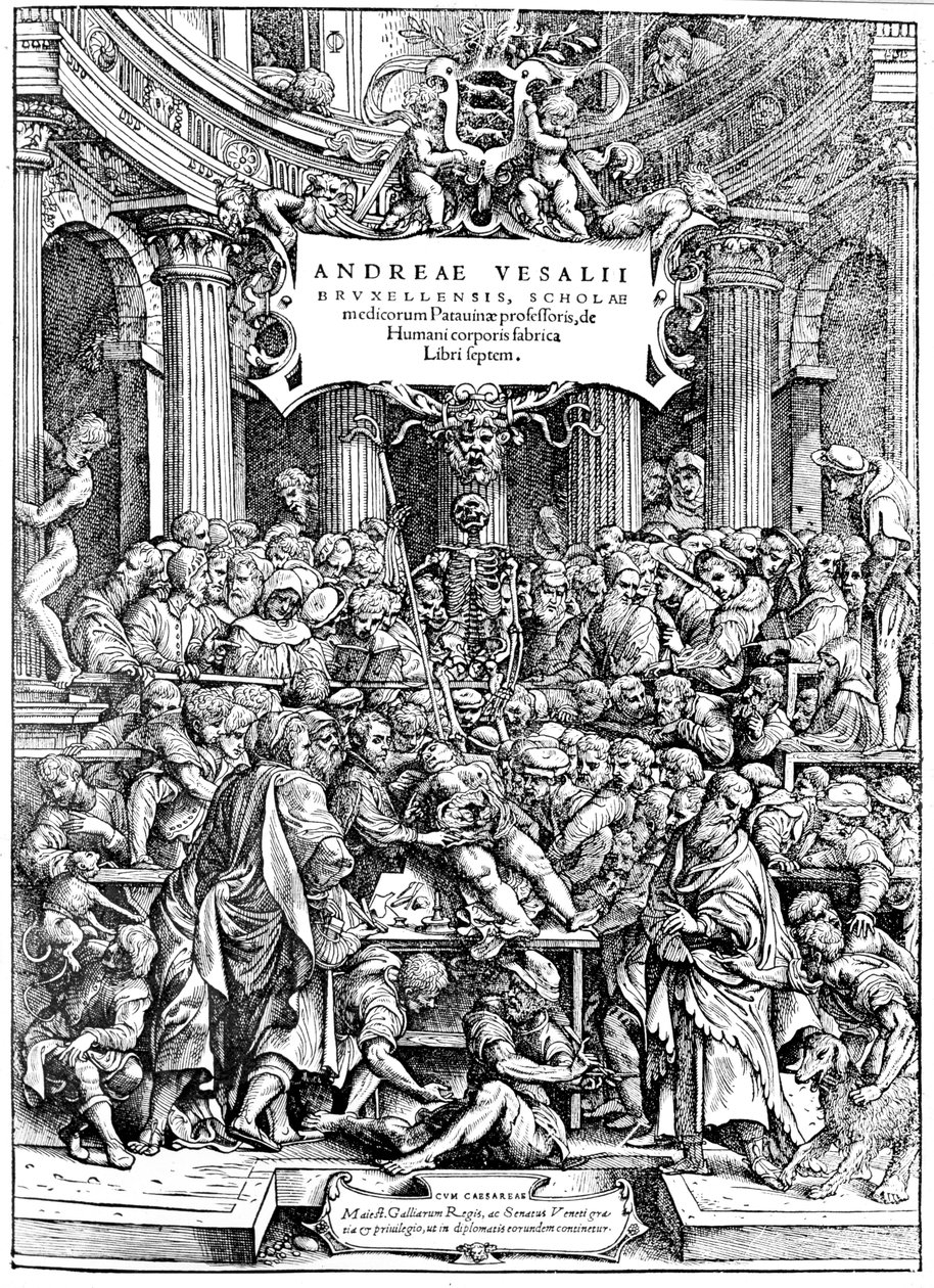 Title page of Andreas Vesalius De Humani Corporis Fabrica, showing Vesalius dissecting body by Andreas Vesalius