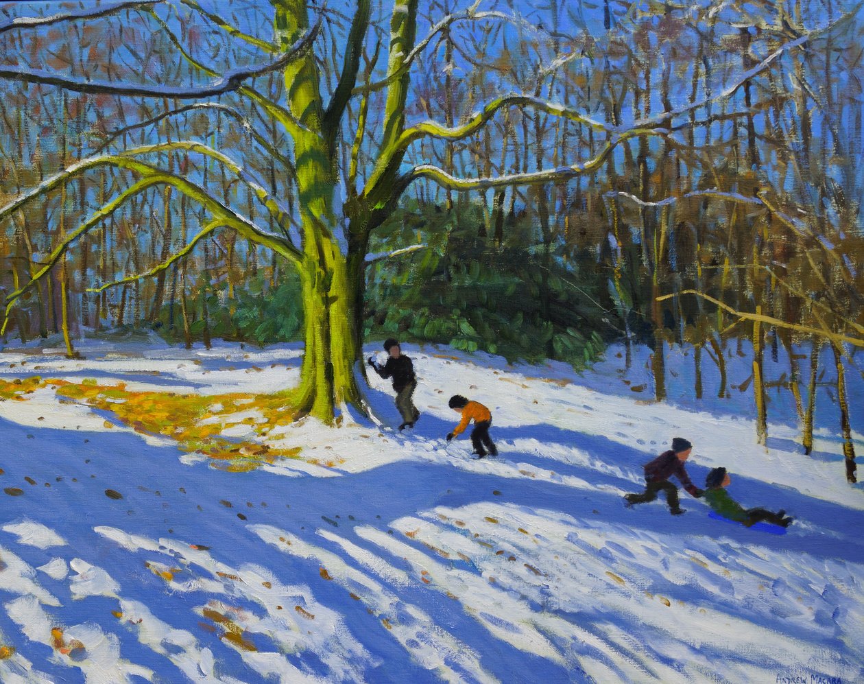 Detail of Top of Allestree Park by Andrew Macara