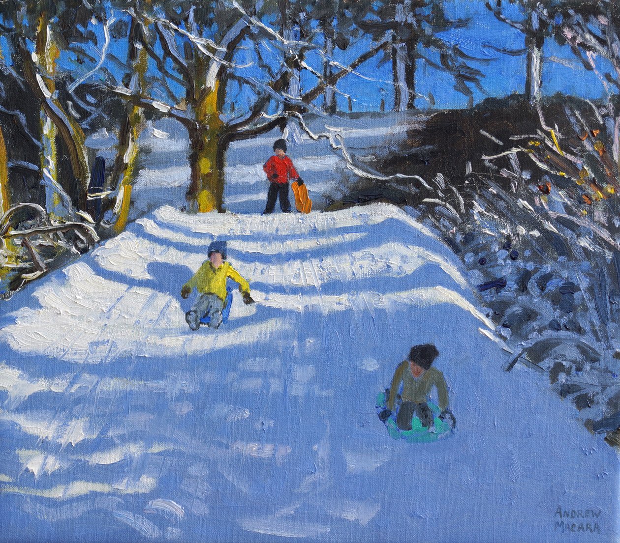 Fun in the snow, Wash Green, Derbyshire, 2014 by Andrew Macara