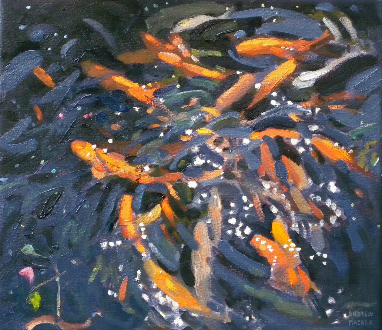Goldfish by Andrew Macara