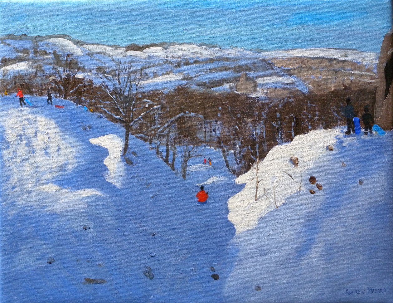 Gully, Black Rocks, Derbyshire, 2009 by Andrew Macara