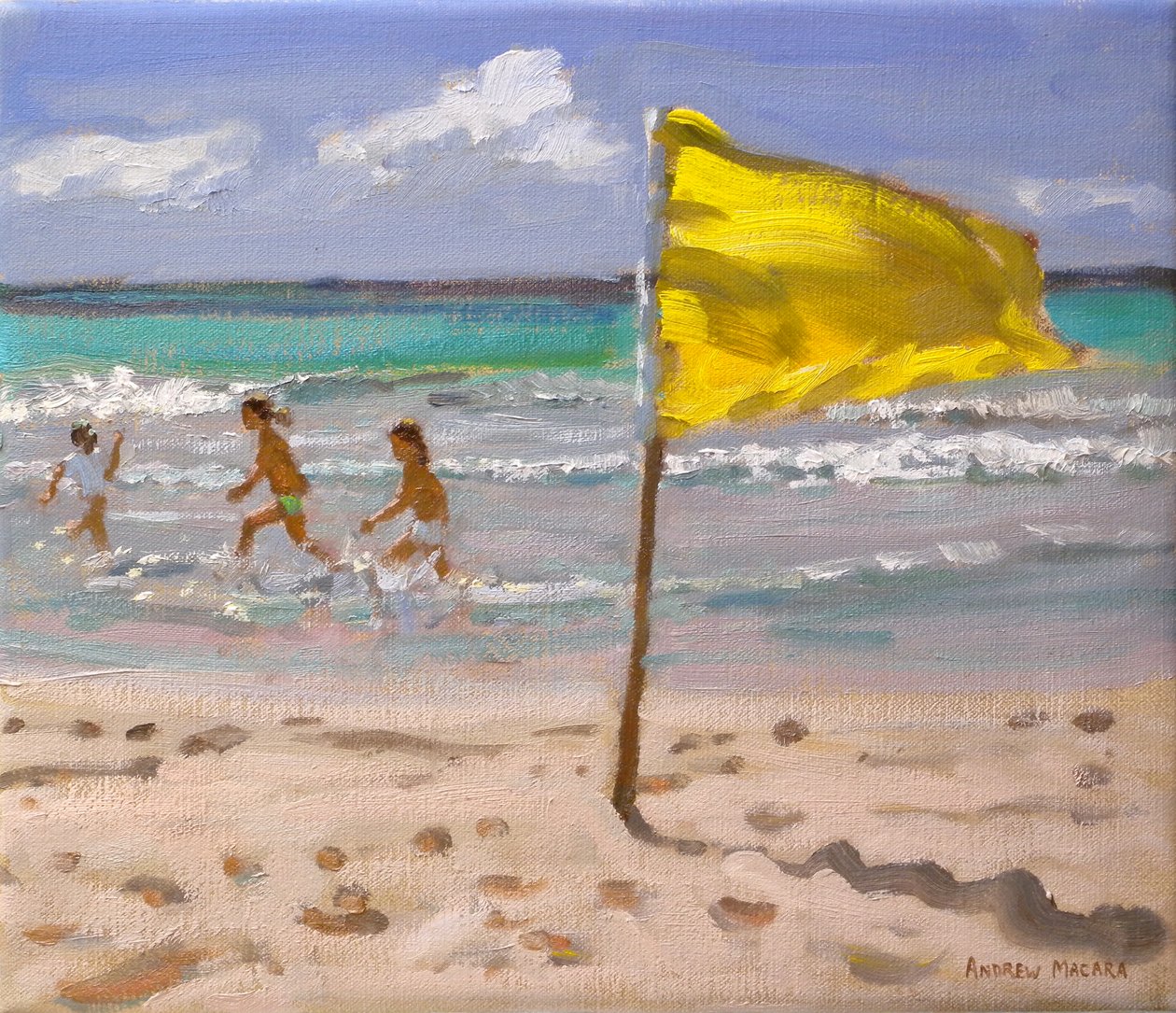 Yellow Flag, Barbados, 2010 by Andrew Macara