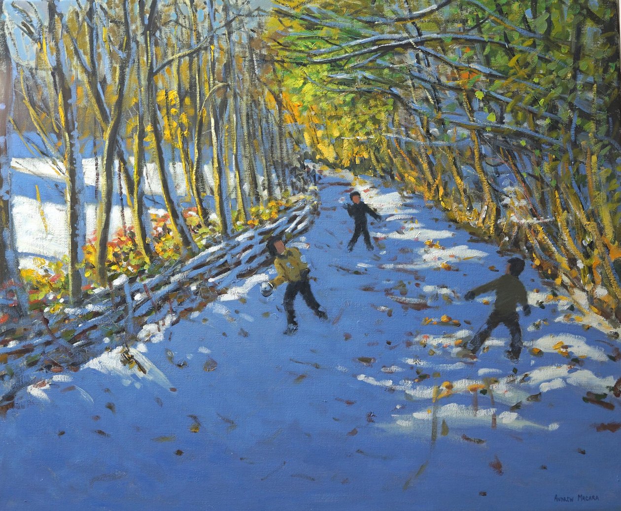 Yellow trees, Allestree Park by Andrew Macara
