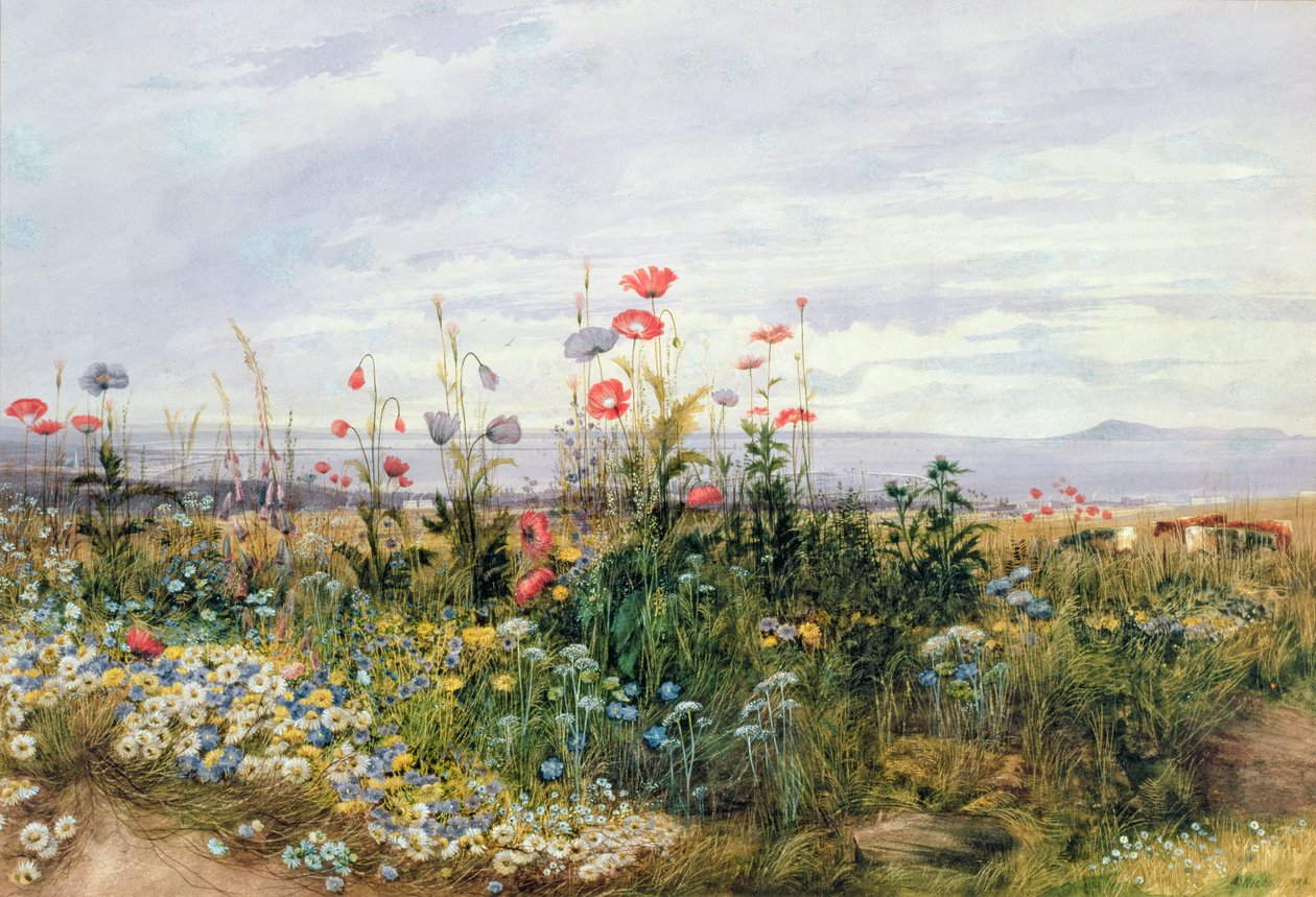Wildflowers with a View of Dublin Dunleary by Andrew Nicholl