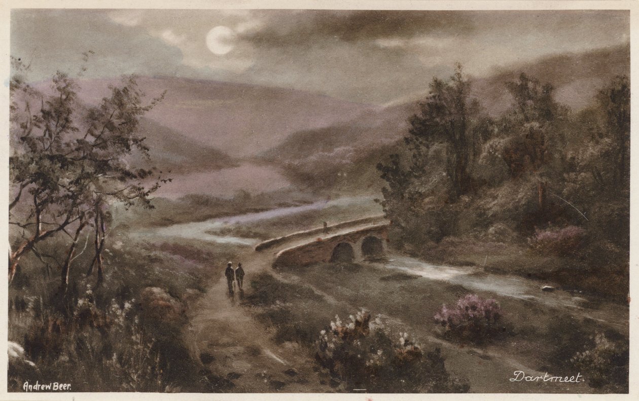 Dartmoor: Dartmeet by Andrew Beer