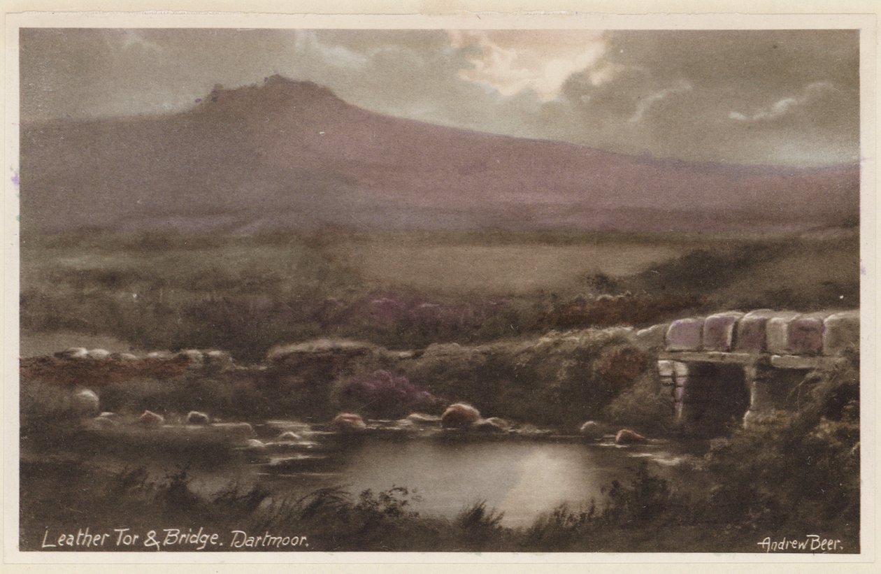 Leather Tor and Bridge, Dartmoor by Andrew Beer