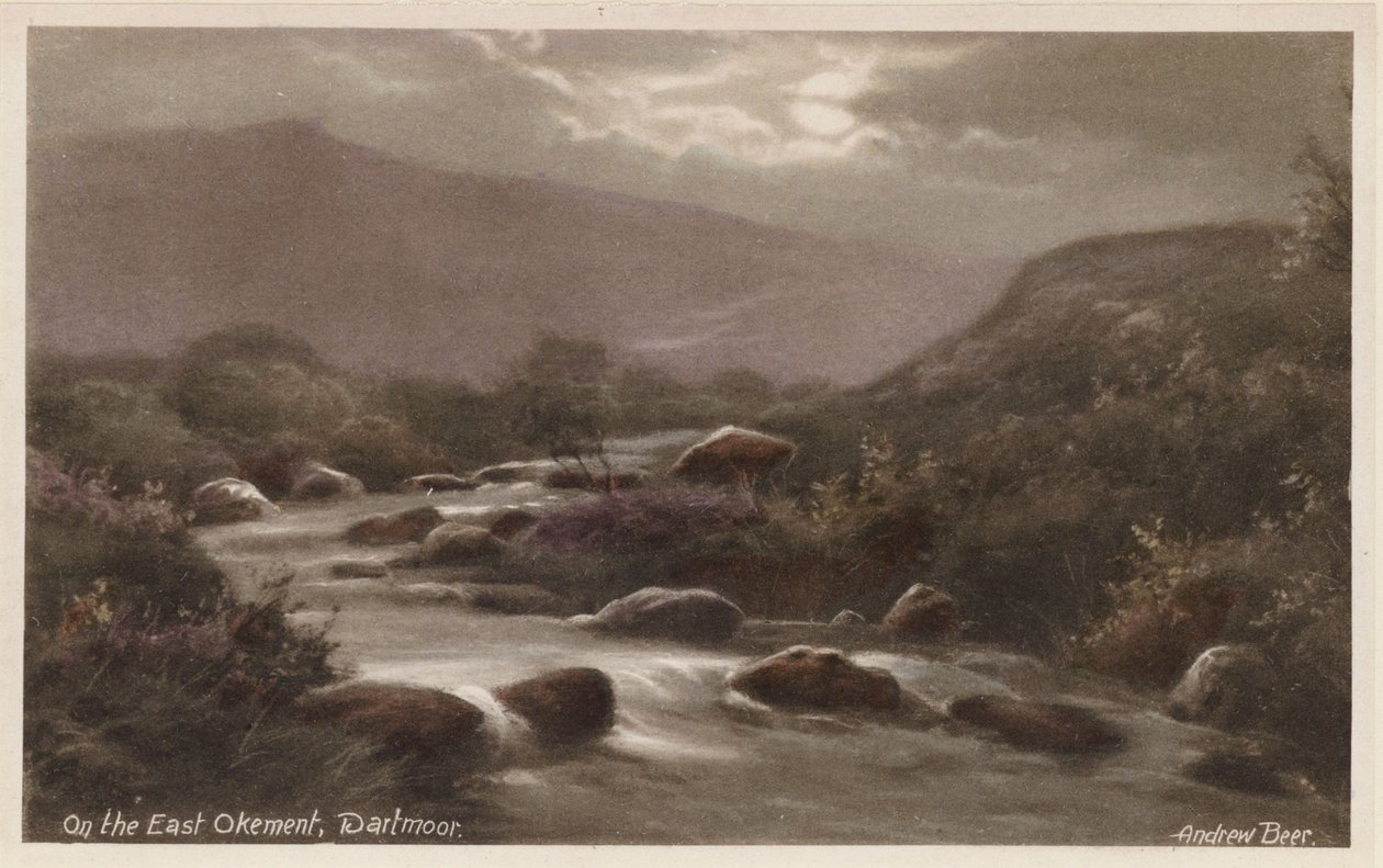 On the East Okement, Dartmoor by Andrew Beer