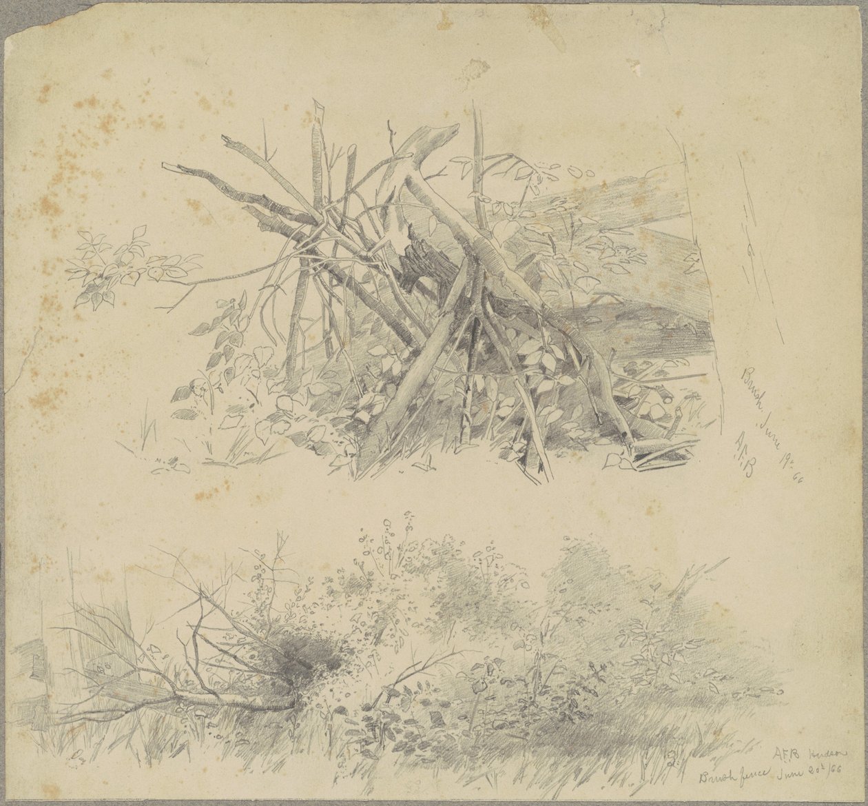 Brush; and Hudson Brush Fence by Andrew Fisher Bunner