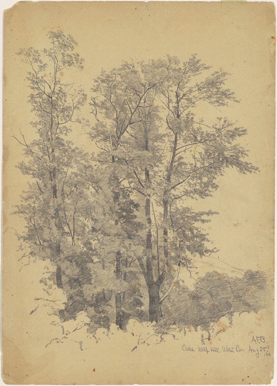 Oaks, Wolf Hill, Ulster County by Andrew Fisher Bunner