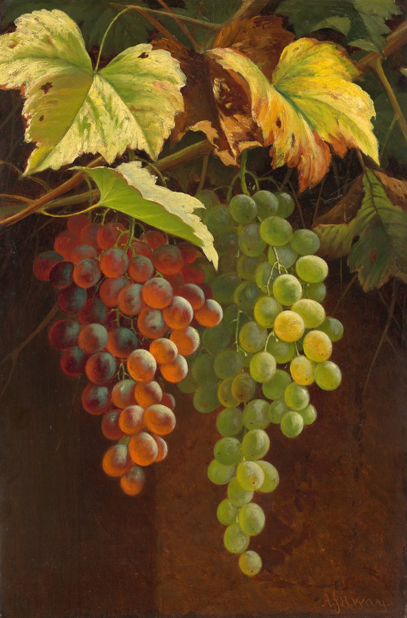 Two Bunches of Grapes by Andrew John Henry Way