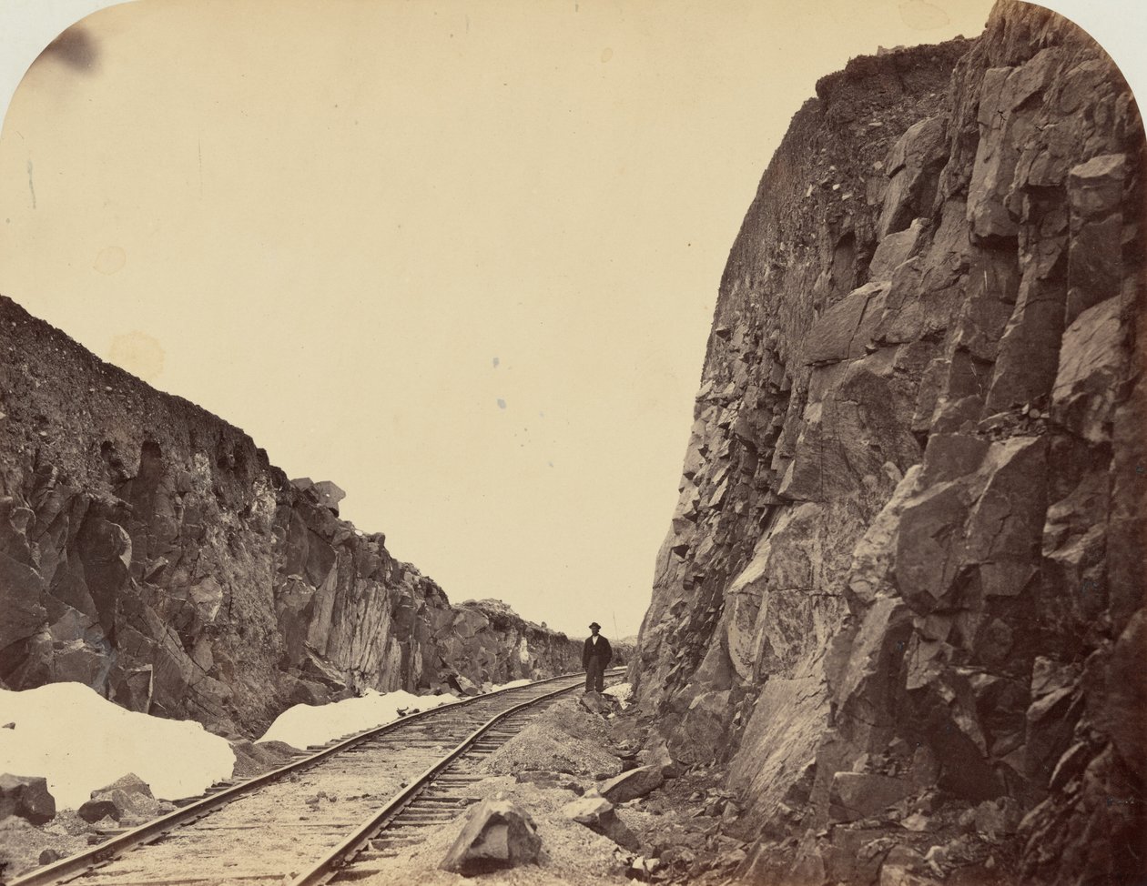 Plate 1. Carmichael