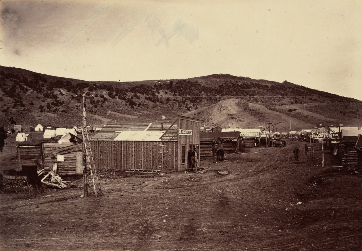 Plate 29. Bear River City, Near the Coal Fields, 1869 by Andrew Joseph Russell