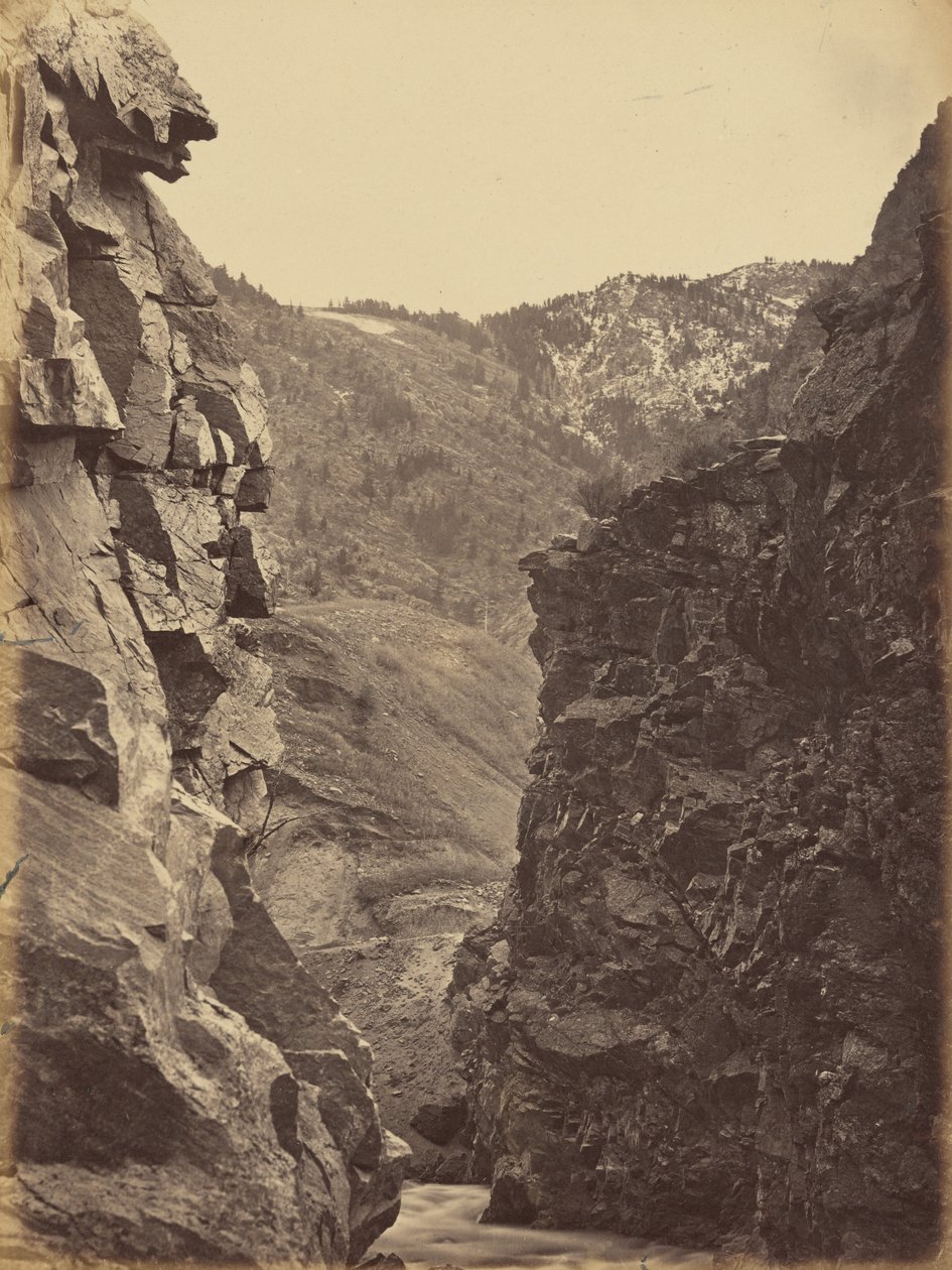 Plate 40. Devil
