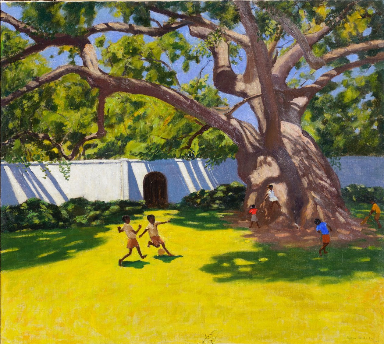Ancient Camphor Tree, Vergelegen Estate, South Africa by Andrew Macara