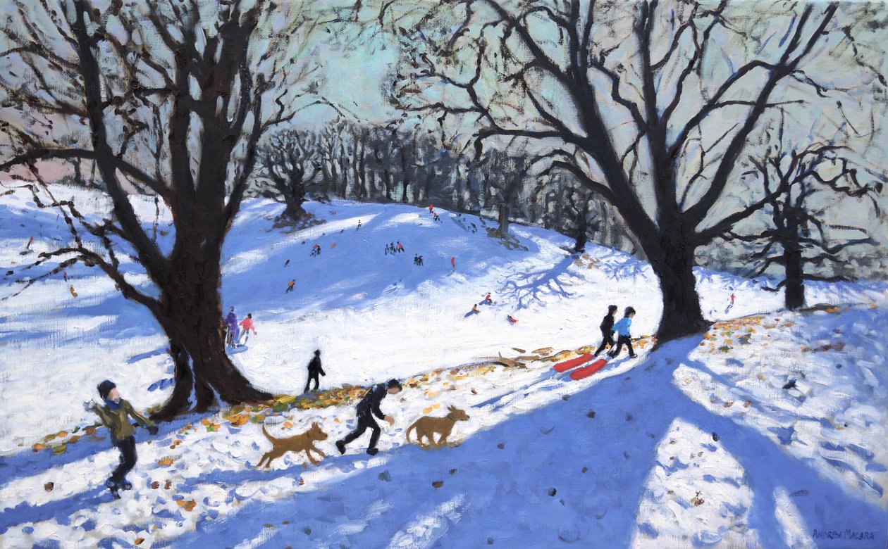 Christmas Day, Calke Abbey, Derby, 2017 by Andrew Macara