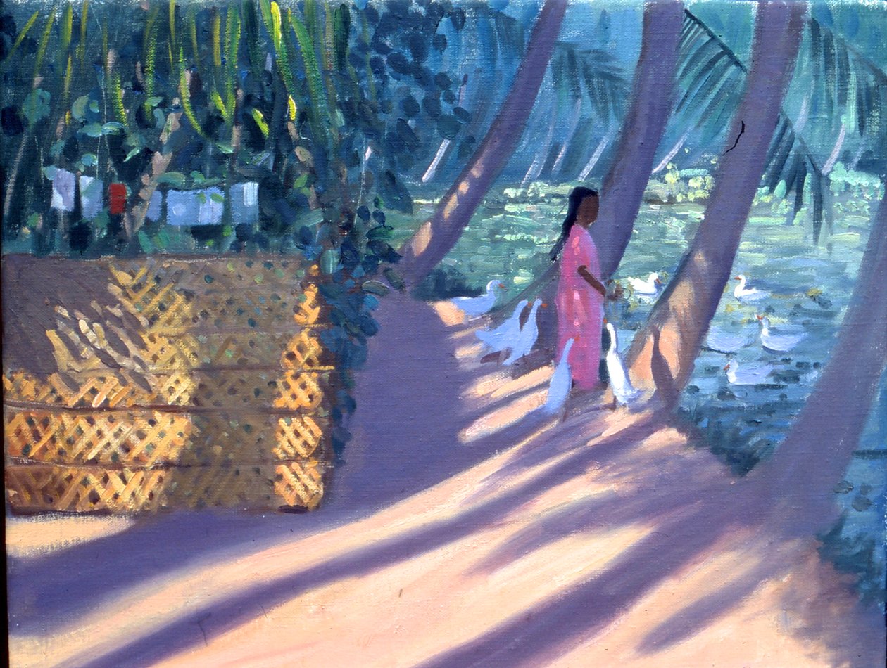 Feeding the ducks, Kerala, India by Andrew Macara