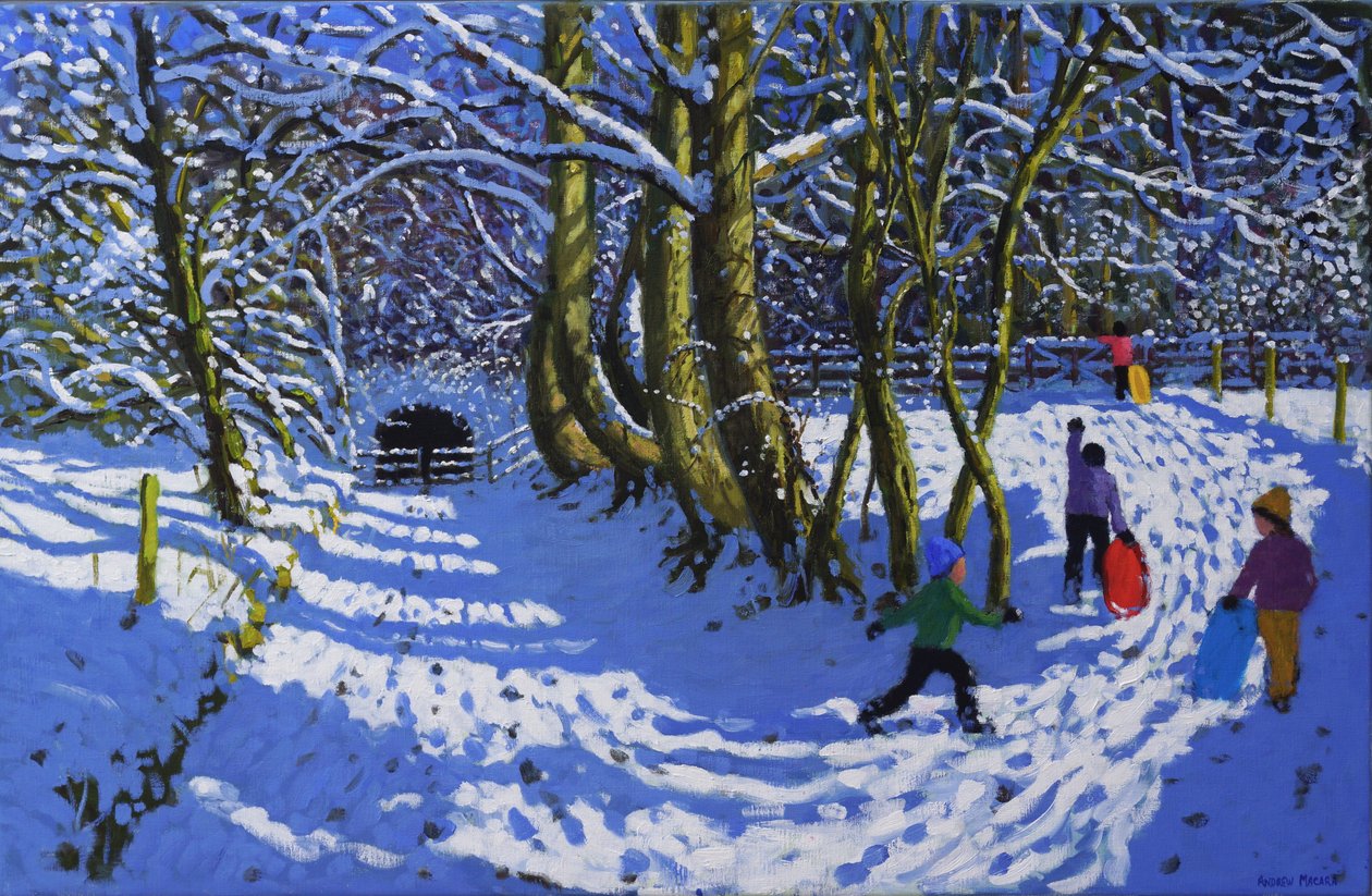 Going sledging, Calke Abbey by Andrew Macara