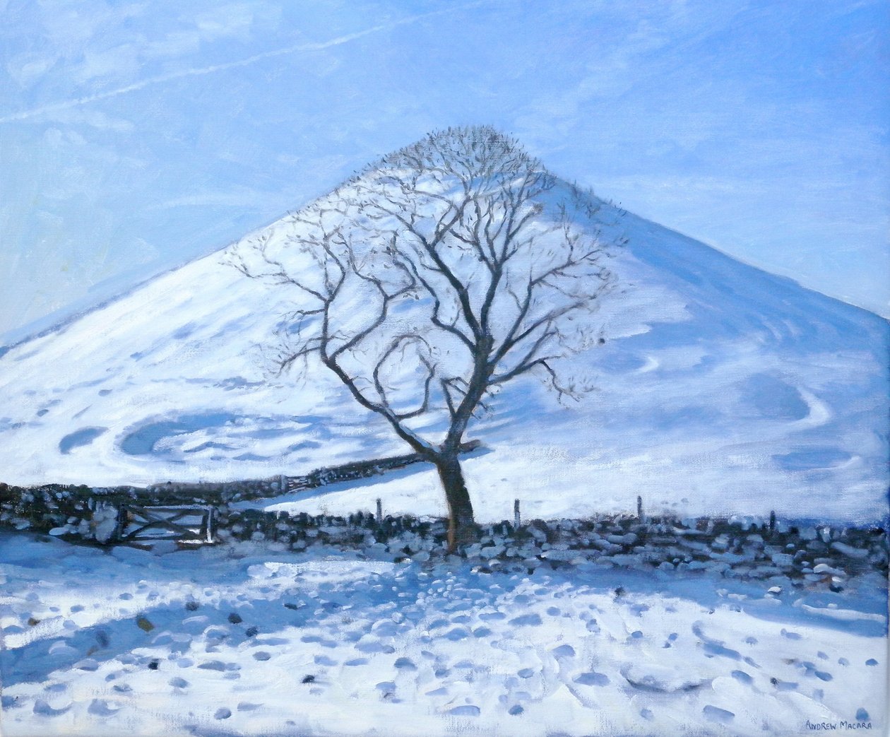 Hill and Tree, Derbyshire, 2008 by Andrew Macara