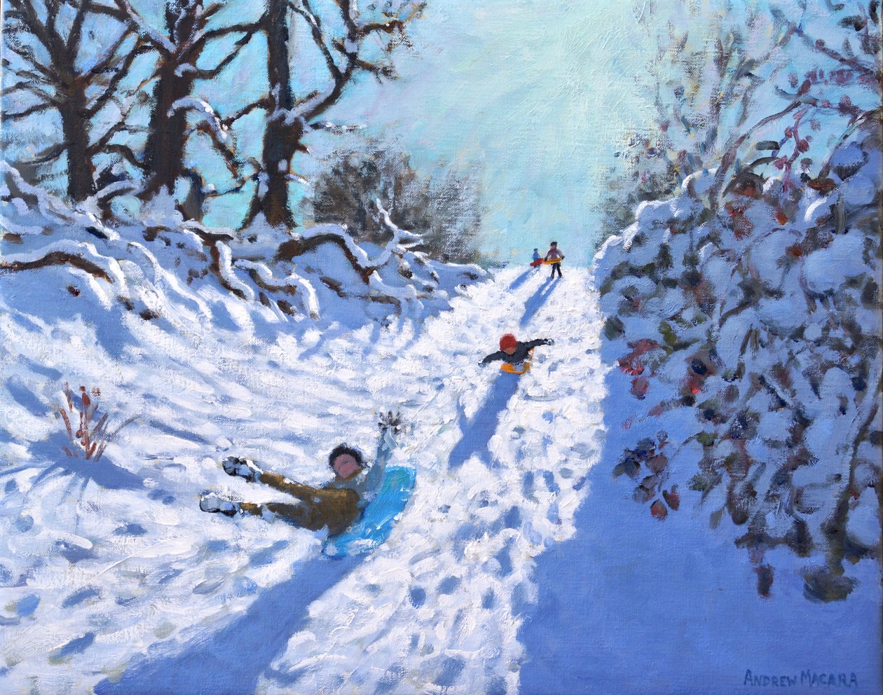 Sledging, Calke Abbey, Ticknall, Derby by Andrew Macara
