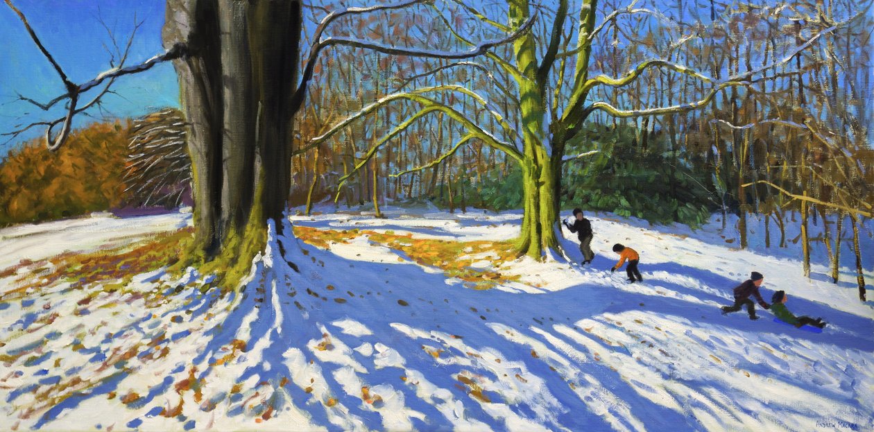 Top of Allestree Park, 2014 by Andrew Macara