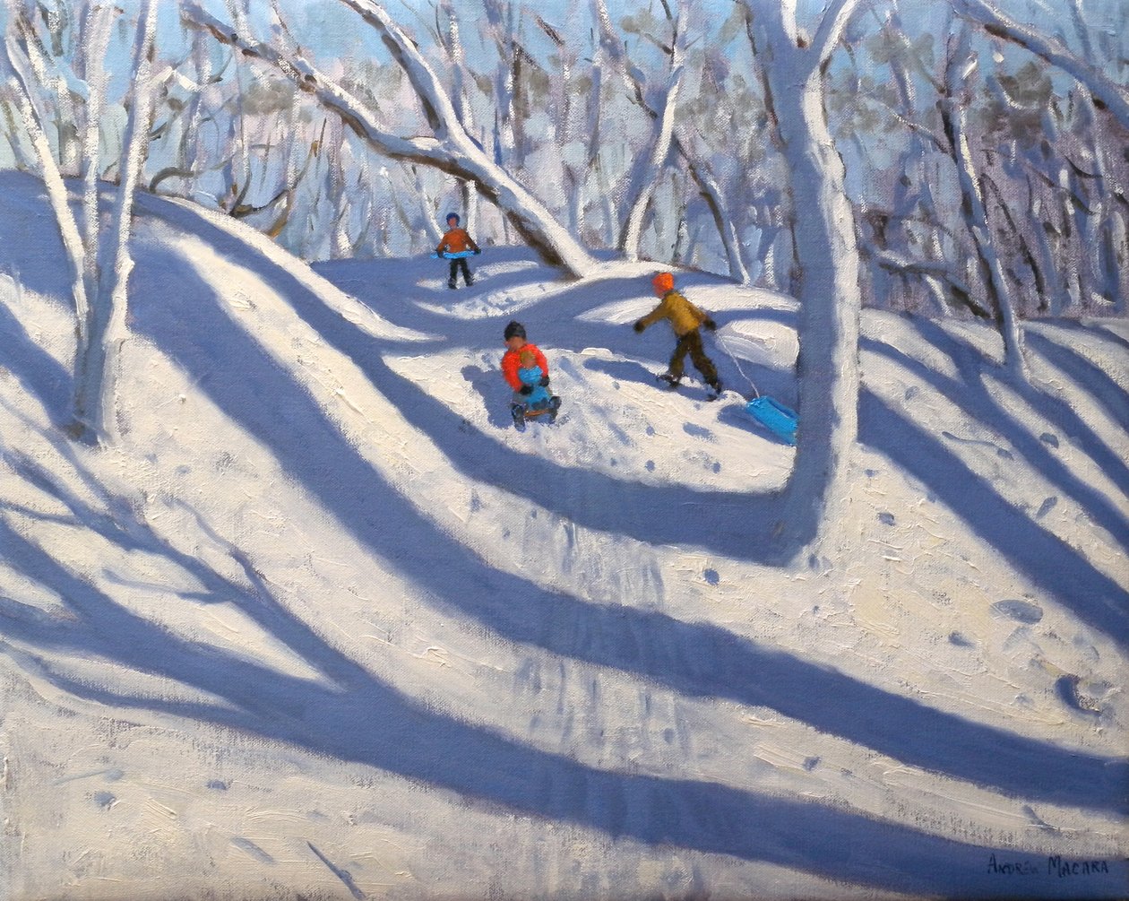 Winter, Bramcote, Nottingham, 2009 by Andrew Macara