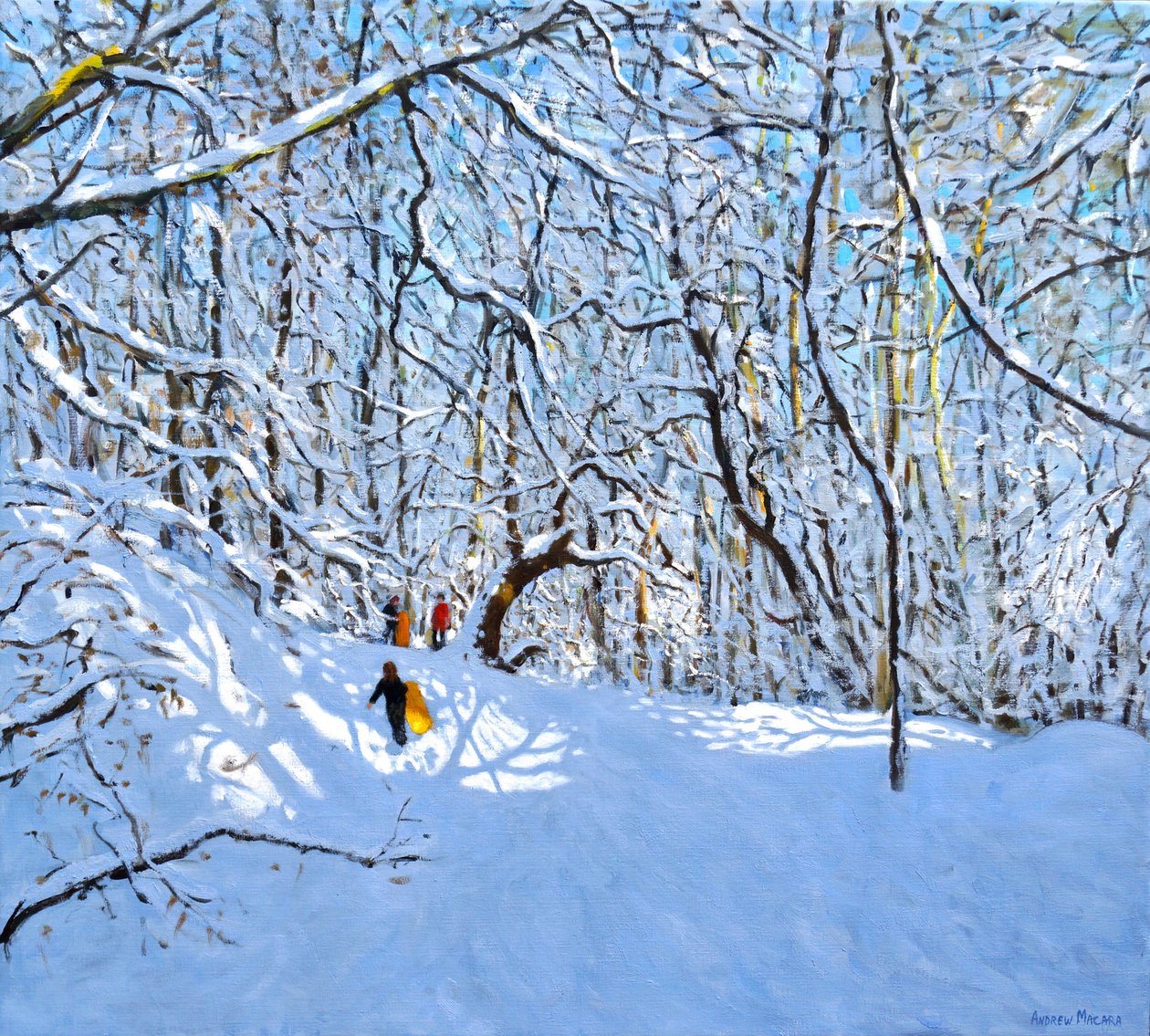 Yellow and Orange Sledges, Allestree Park, Derby by Andrew Macara
