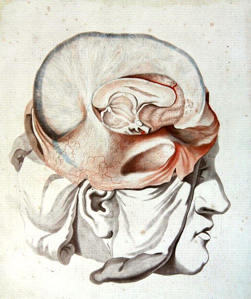 The Skull, from 
