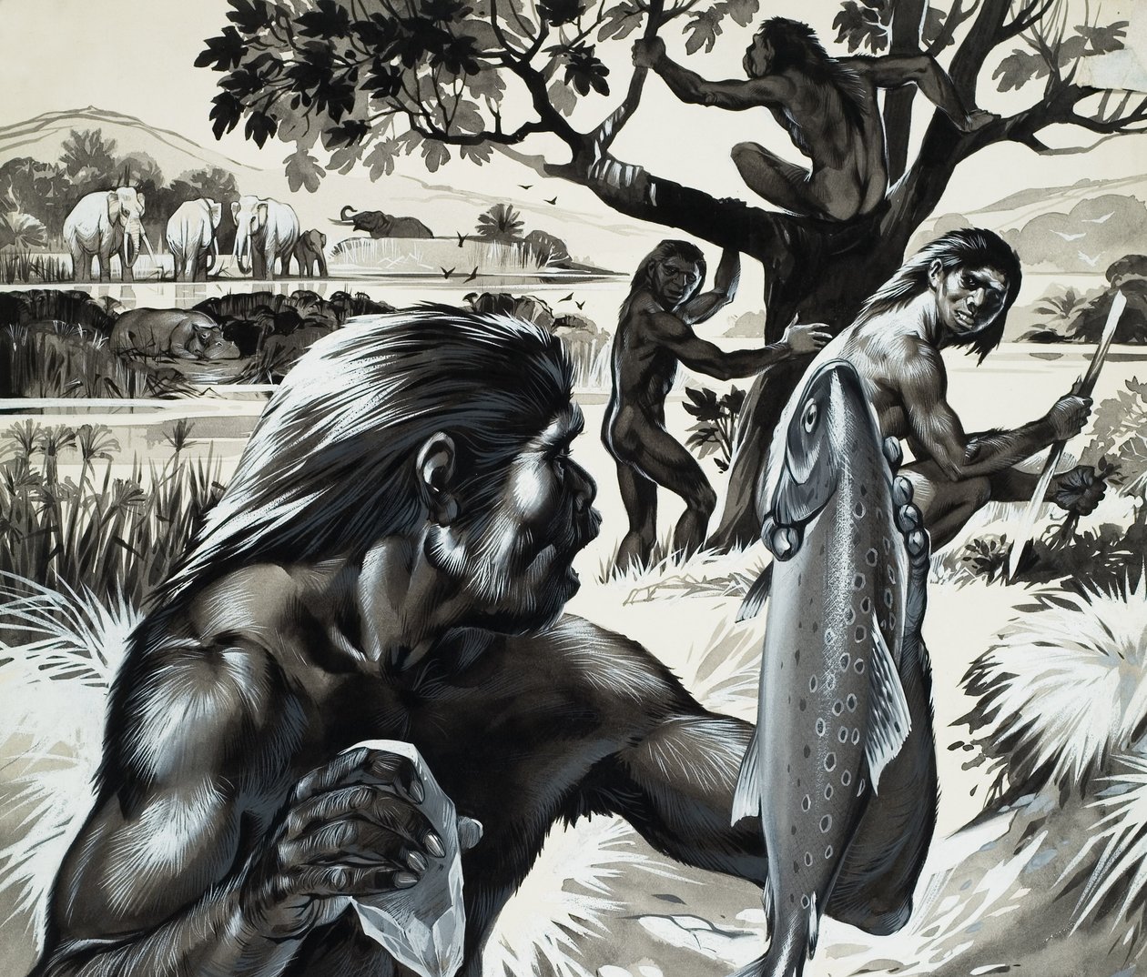 Mankind in the Making by Angus McBride