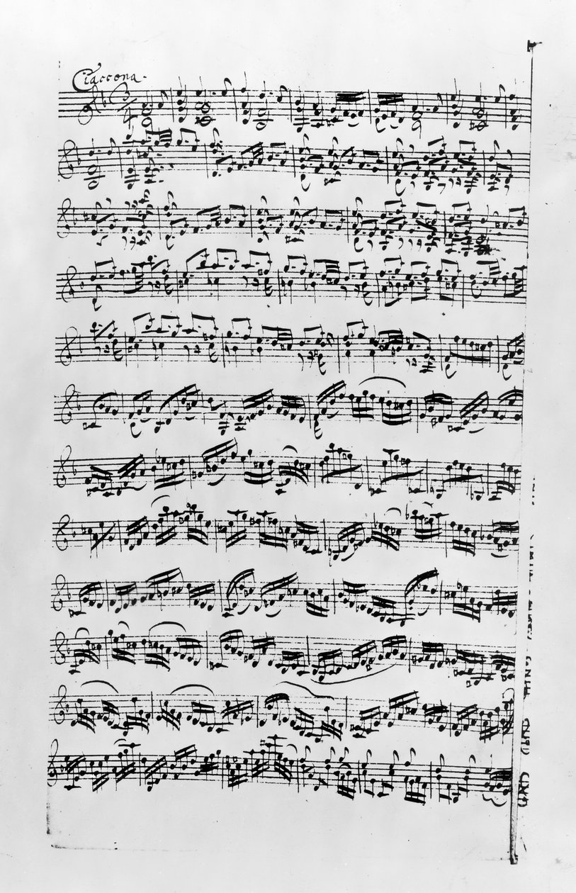 Copy of 