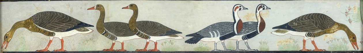 Copy of wall painting from Mastaba of Itet, Medum IV, 93-94 geese, 20th century by Anna