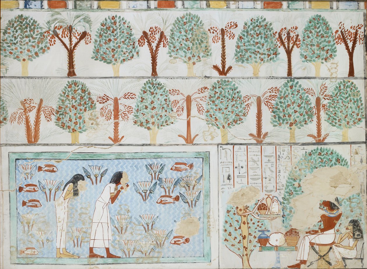 Copy of wall painting from private tomb 63 of Sebkhotpe, Thebes I, 1, 125-128 by Anna
