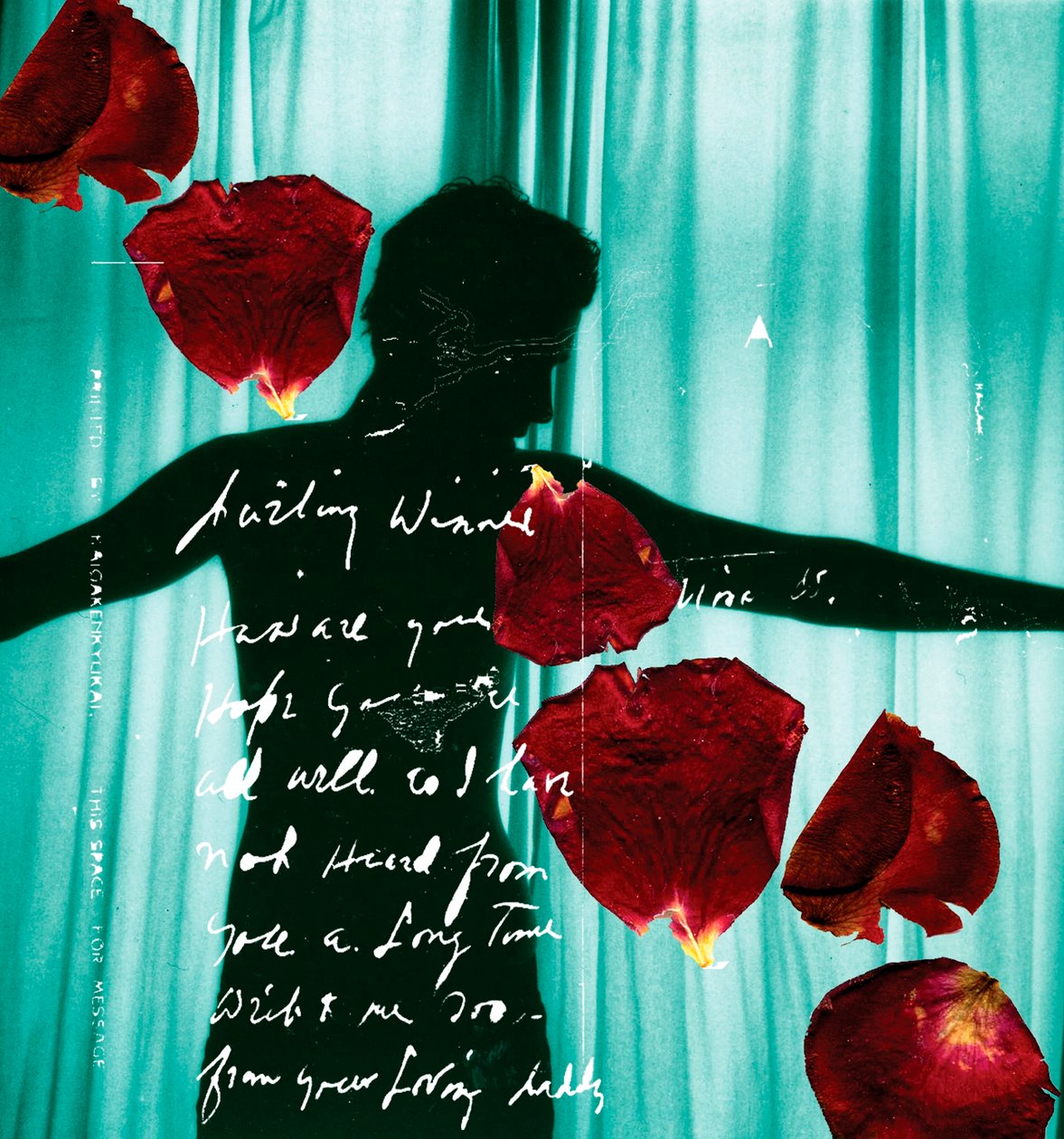 Darling Winnie by Anna Platts