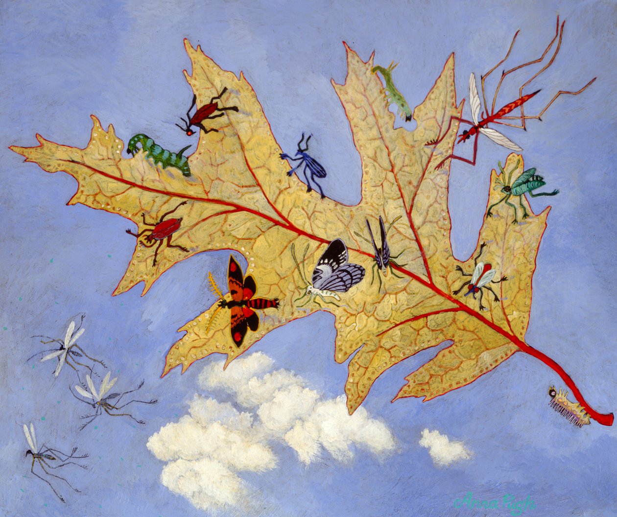 Autumn Leaf by Anna Pugh