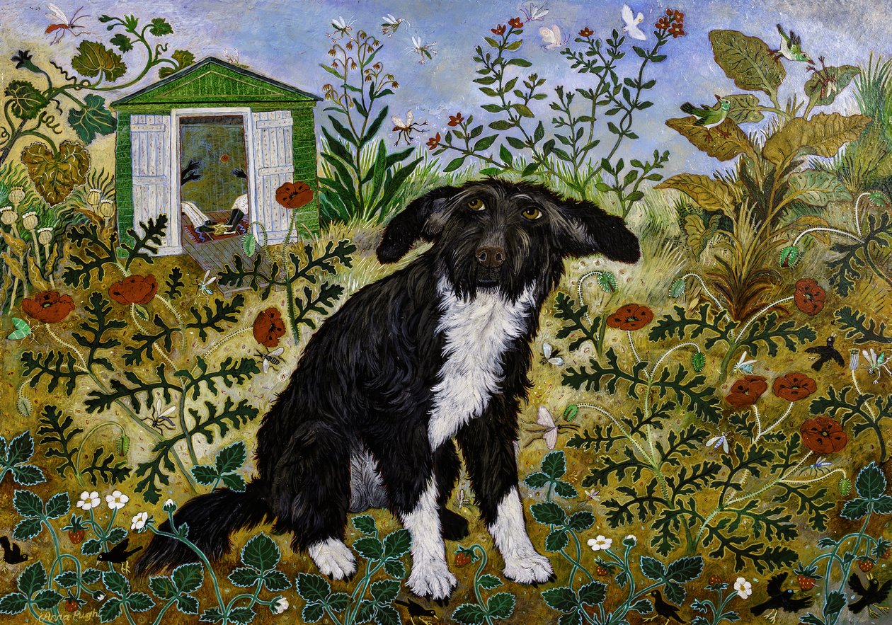 Buzz, 2017 by Anna Pugh