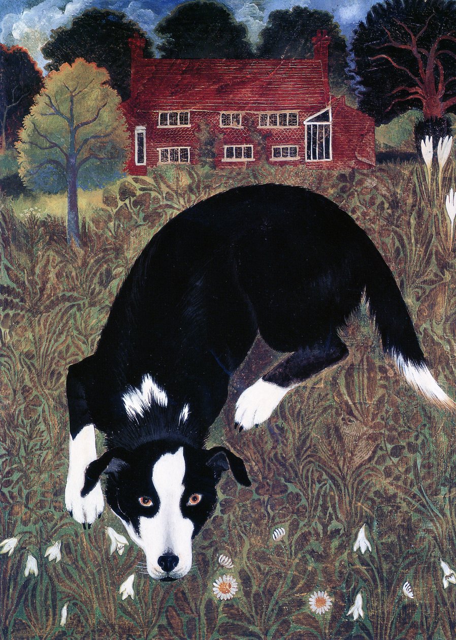 NO METADATA by Anna Pugh