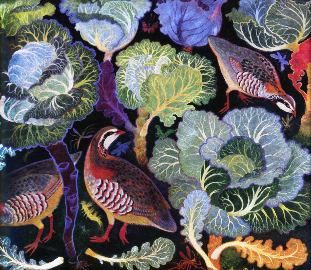 Partridge in a Cabbage Patch by Anna Pugh