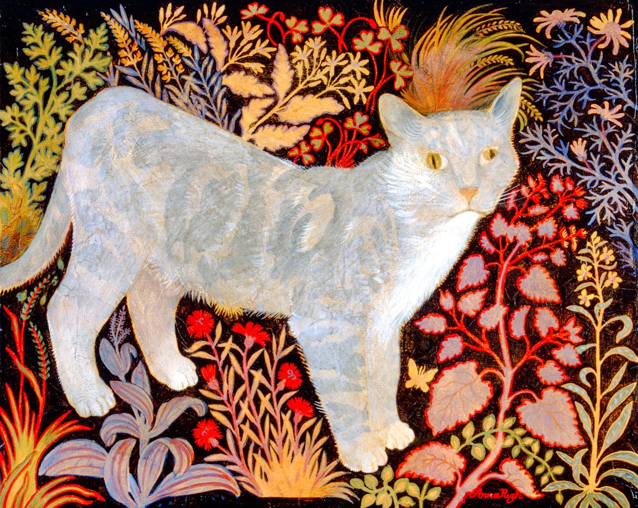 Silver Tabby by Anna Pugh