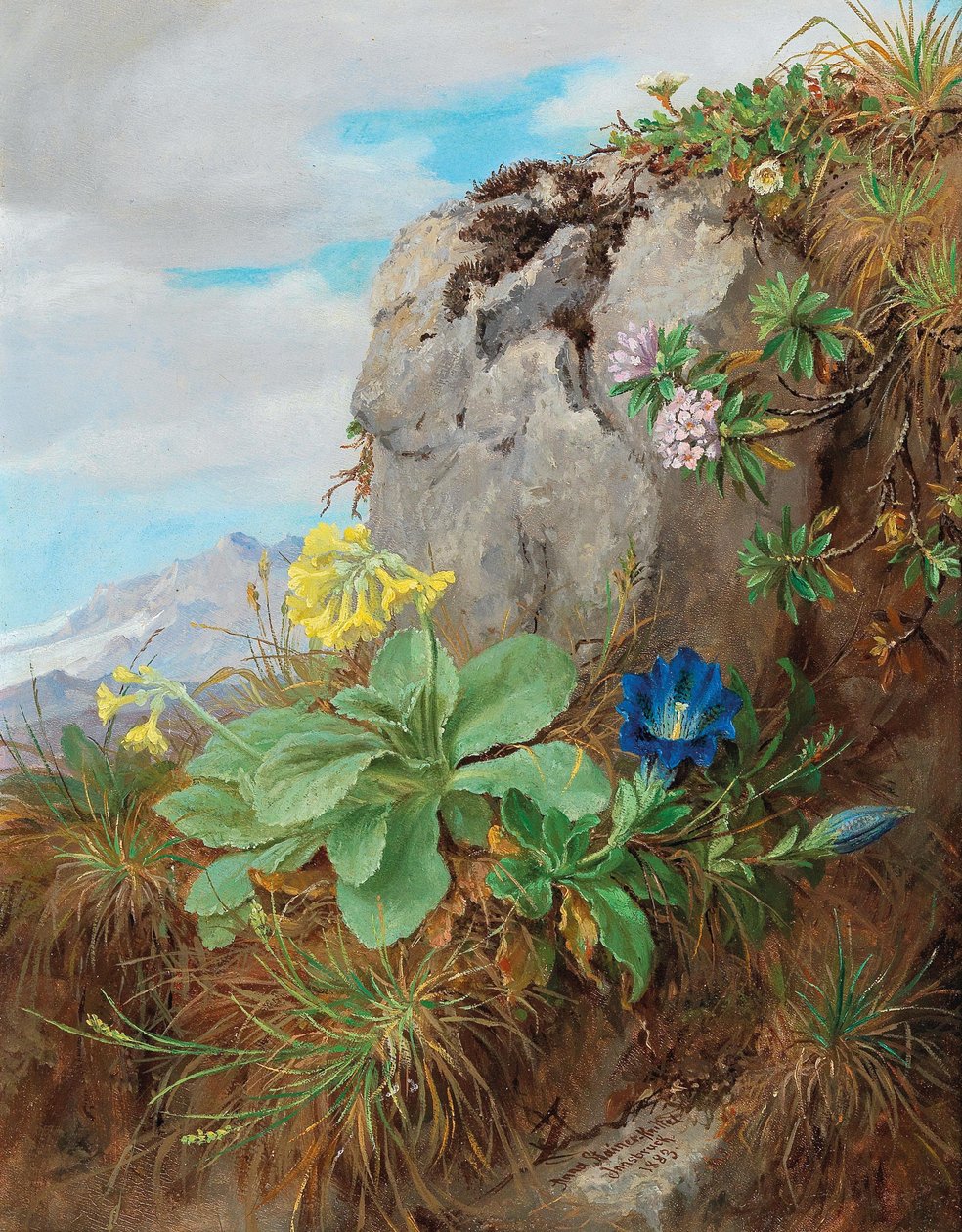 Alpine Flowers by Anna Stainer Knittel