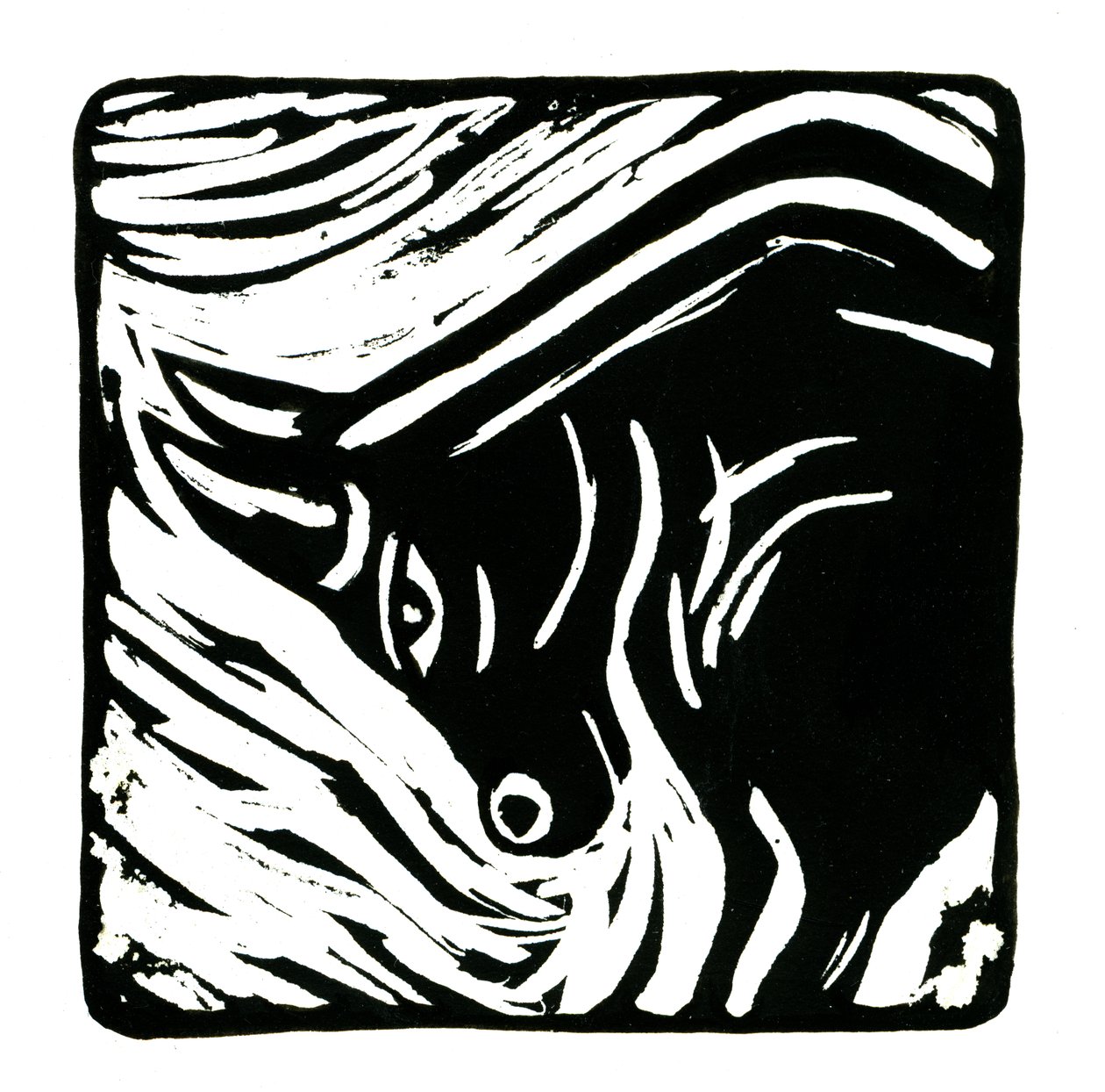 Horoscope (Taurus) by Annalisa Morrocco