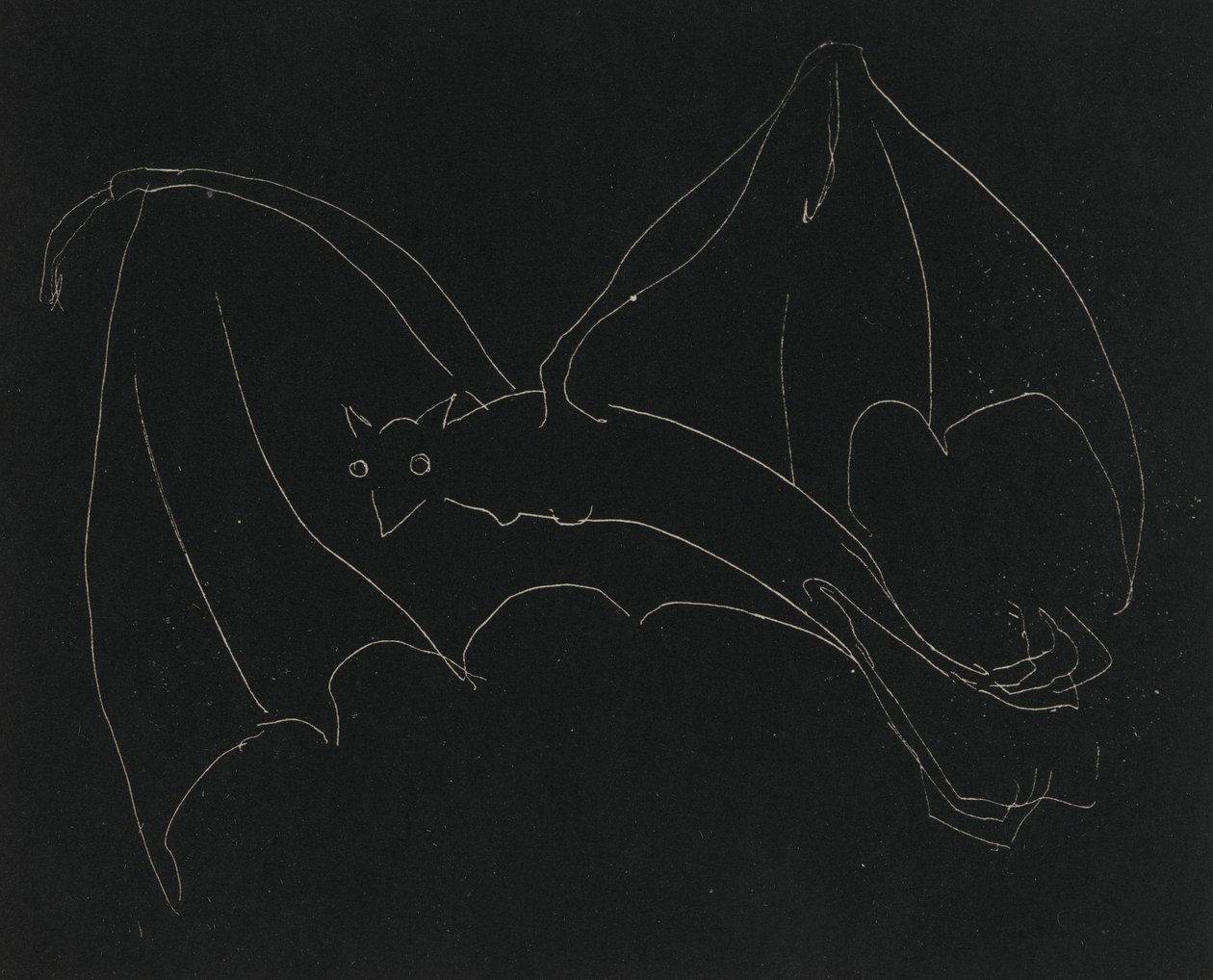 Night Series: The Bat by Anne Goldthwaite