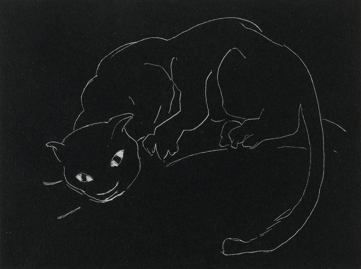 Night Series: The Cat by Anne Goldthwaite