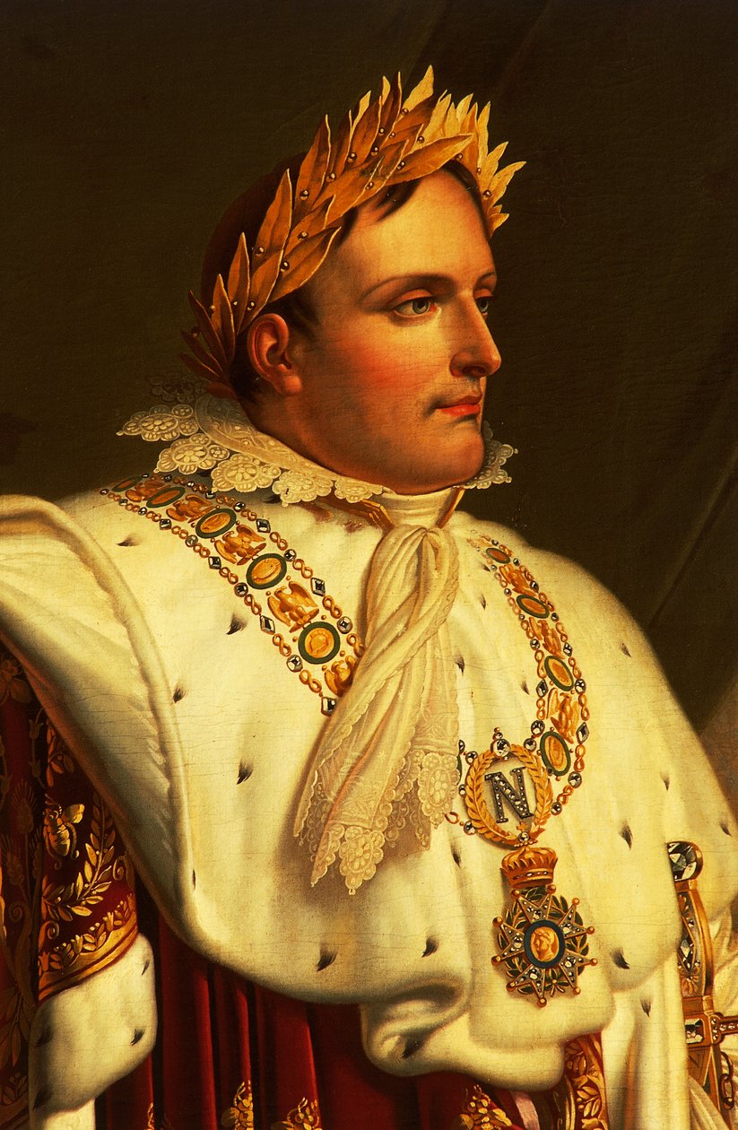Portrait of Napoleon Bonaparte by Anne Louis Girodet de Roucy Trioson