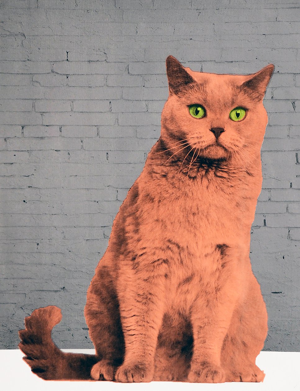 Everybody Wants to Be a Cat by Anne Storno
