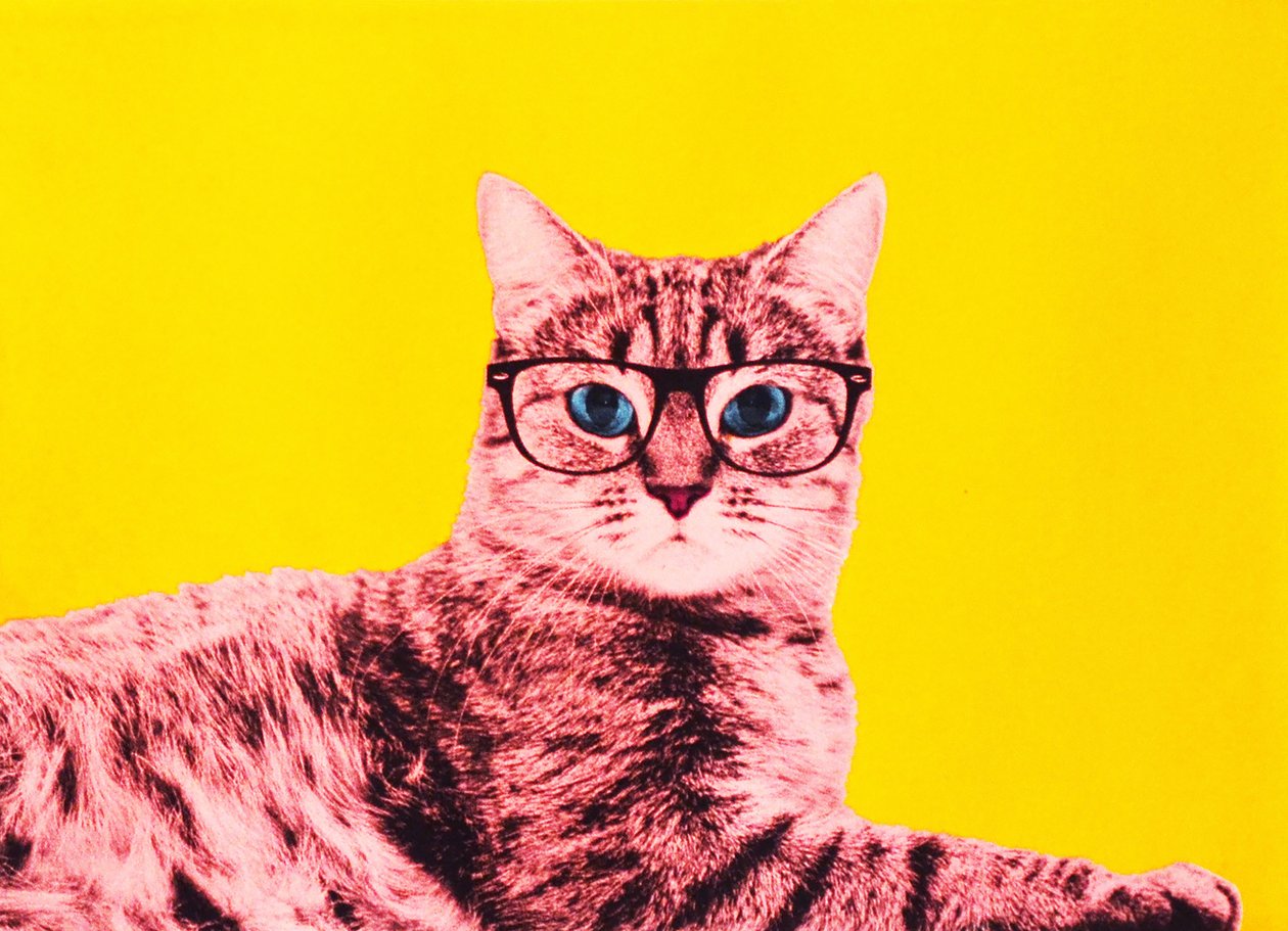 Life in Technicolor by Anne Storno