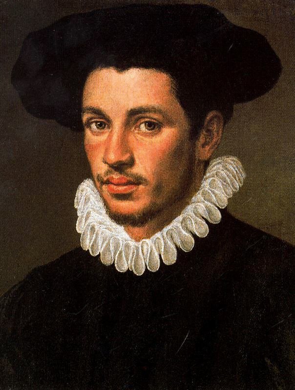 Portrait of a Young Man by Annibale Carracci